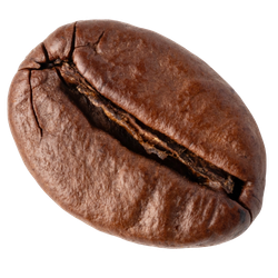 Roasted coffee bean on a white background