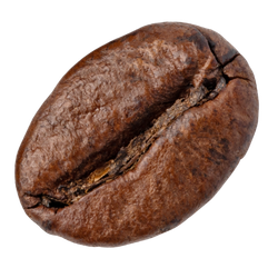 Roasted coffee bean on a white background